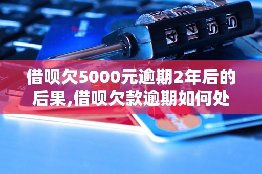 借呗欠5000元逾期2年后的后果,借呗欠款逾期如何处理