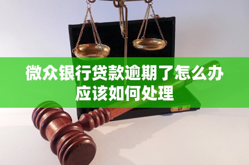 微众银行贷款逾期了怎么办应该如何处理