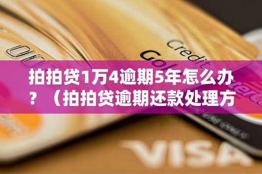 拍拍贷1万4逾期5年怎么办？（拍拍贷逾期还款处理方法详解）