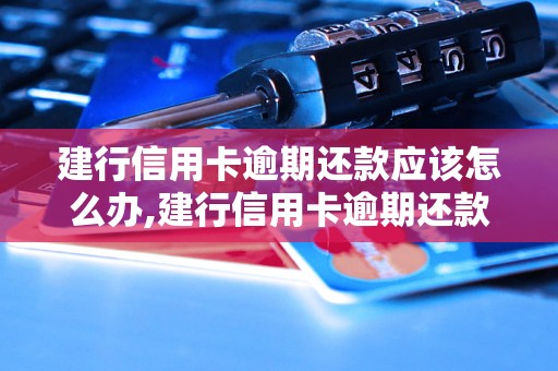 建行信用卡逾期还款应该怎么办,建行信用卡逾期还款的后果有哪些