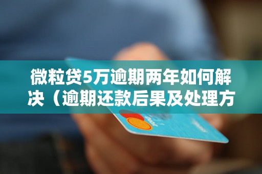 微粒贷5万逾期两年如何解决（逾期还款后果及处理方法）