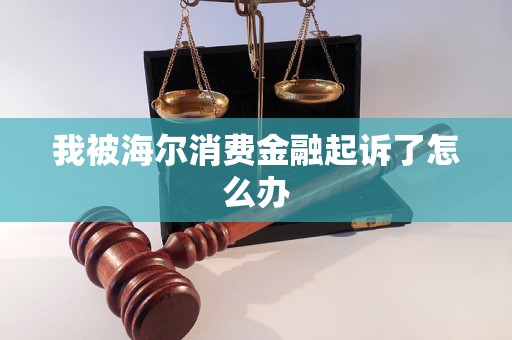 我被海尔消费金融起诉了怎么办