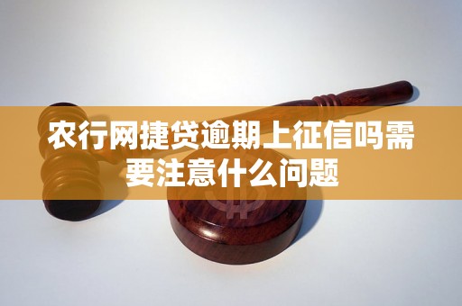 农行网捷贷逾期上征信吗需要注意什么问题