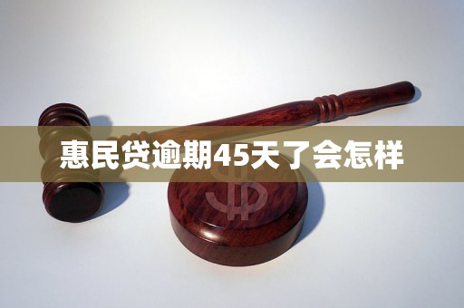 惠民贷逾期45天了会怎样