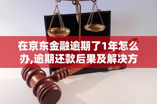 在京东金融逾期了1年怎么办,逾期还款后果及解决方法