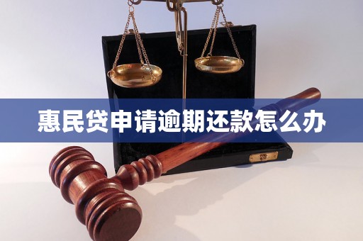 惠民贷申请逾期还款怎么办