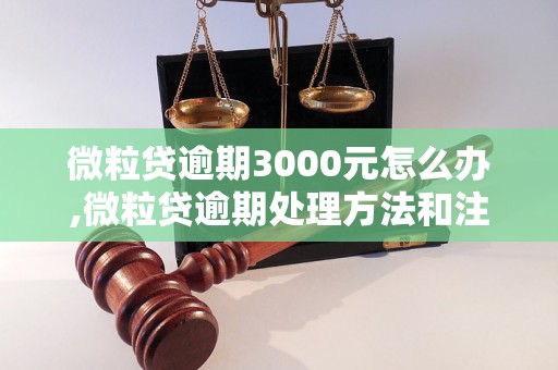 微粒贷逾期3000元怎么办,微粒贷逾期处理方法和注意事项