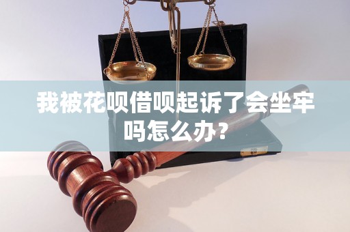 我被花呗借呗起诉了会坐牢吗怎么办？