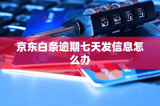 京东白条逾期七天发信息怎么办