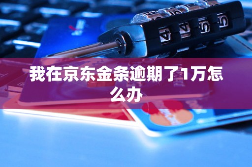 我在京东金条逾期了1万怎么办