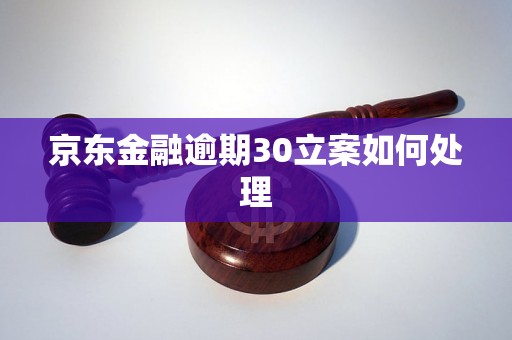 京东金融逾期30立案如何处理