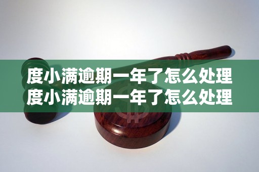 度小满逾期一年了怎么处理度小满逾期一年了怎么处理