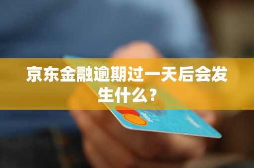 京东金融逾期过一天后会发生什么？