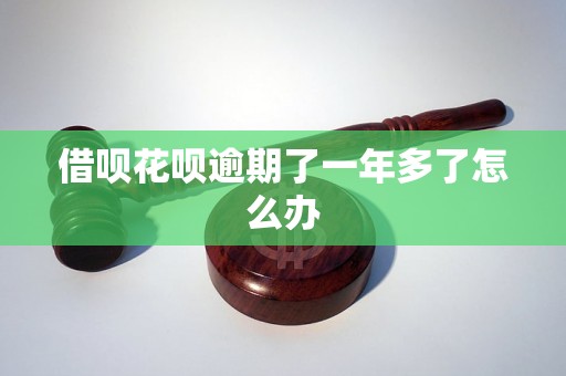 借呗花呗逾期了一年多了怎么办