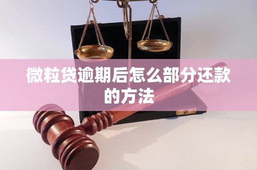 微粒贷逾期后怎么部分还款的方法