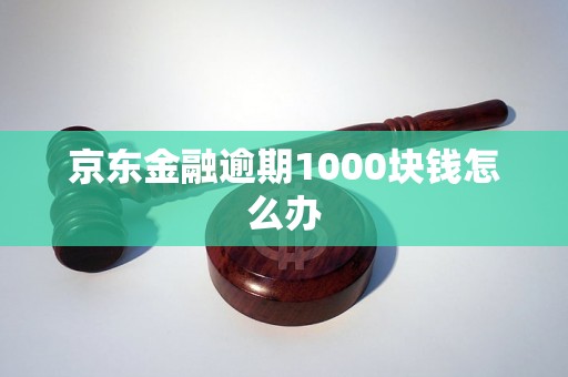 京东金融逾期1000块钱怎么办