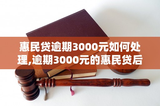 惠民贷逾期3000元如何处理,逾期3000元的惠民贷后果如何