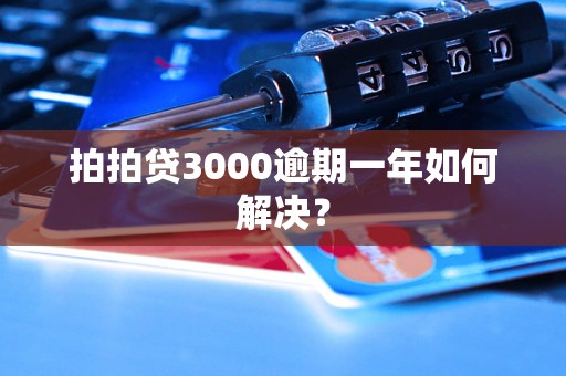 拍拍贷3000逾期一年如何解决？