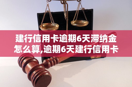 建行信用卡逾期6天滞纳金怎么算,逾期6天建行信用卡滞纳金收费标准