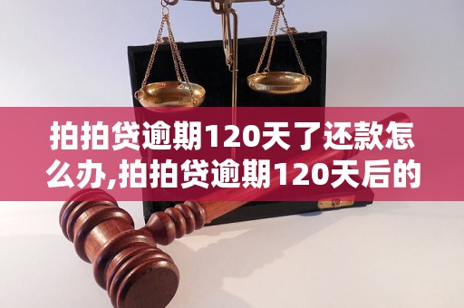 拍拍贷逾期120天了还款怎么办,拍拍贷逾期120天后的后果