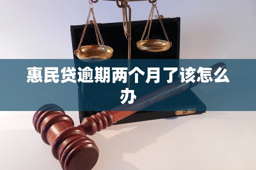 惠民贷逾期两个月了该怎么办