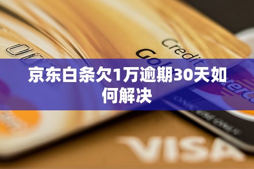 京东白条欠1万逾期30天如何解决