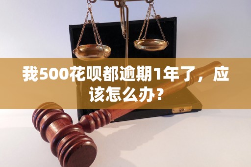 我500花呗都逾期1年了，应该怎么办？