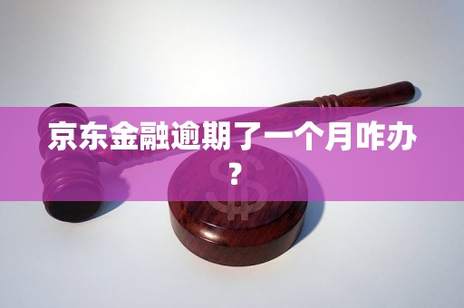 京东金融逾期了一个月咋办？