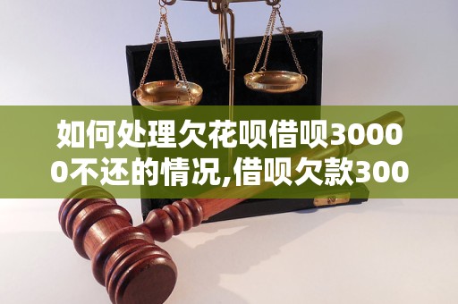 如何处理欠花呗借呗30000不还的情况,借呗欠款30000怎么办