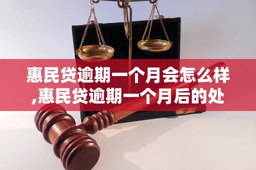 惠民贷逾期一个月会怎么样,惠民贷逾期一个月后的处罚措施