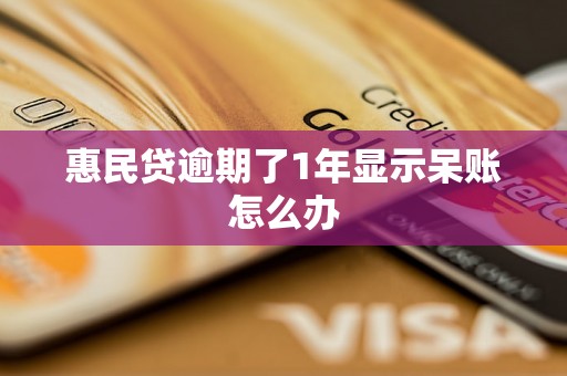 惠民贷逾期了1年显示呆账怎么办