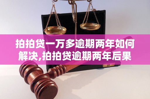 拍拍贷一万多逾期两年如何解决,拍拍贷逾期两年后果及解决方法