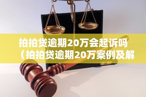 拍拍贷逾期20万会起诉吗（拍拍贷逾期20万案例及解决方案）