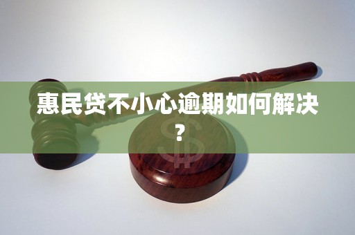 惠民贷不小心逾期如何解决？