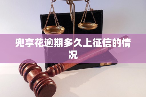 兜享花逾期多久上征信的情况