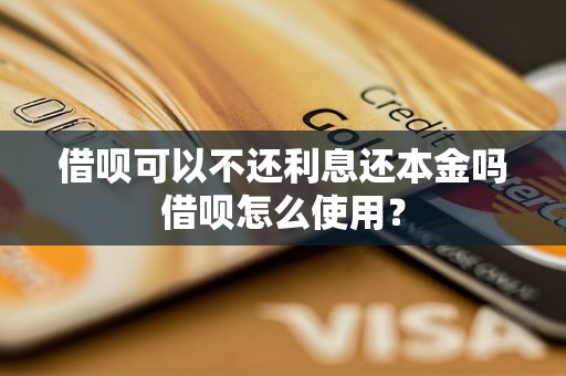 借呗可以不还利息还本金吗借呗怎么使用？