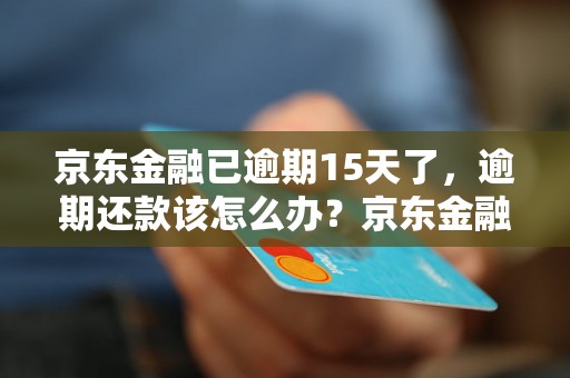 京东金融已逾期15天了，逾期还款该怎么办？京东金融逾期15天后后果严重吗？