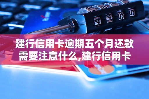 建行信用卡逾期五个月还款需要注意什么,建行信用卡逾期五个月还款的后果