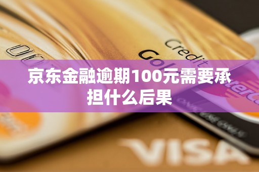 京东金融逾期100元需要承担什么后果