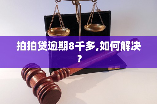 拍拍贷逾期8千多,如何解决？