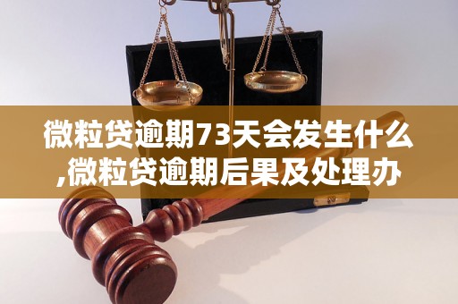 微粒贷逾期73天会发生什么,微粒贷逾期后果及处理办法