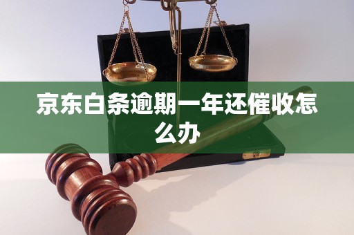 京东白条逾期一年还催收怎么办