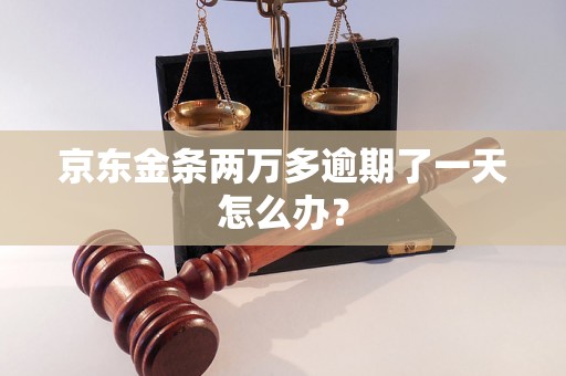 京东金条两万多逾期了一天怎么办？