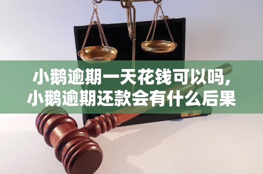 小鹅逾期一天花钱可以吗,小鹅逾期还款会有什么后果