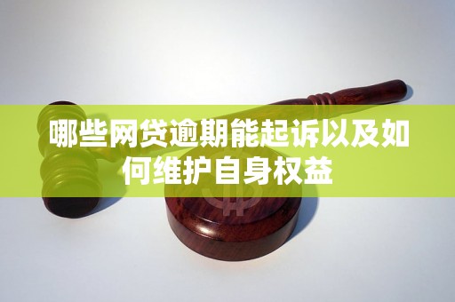 哪些网贷逾期能起诉以及如何维护自身权益