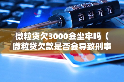 微粒贷欠3000会坐牢吗（微粒贷欠款是否会导致刑事责任）