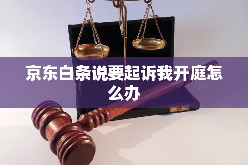 京东白条说要起诉我开庭怎么办