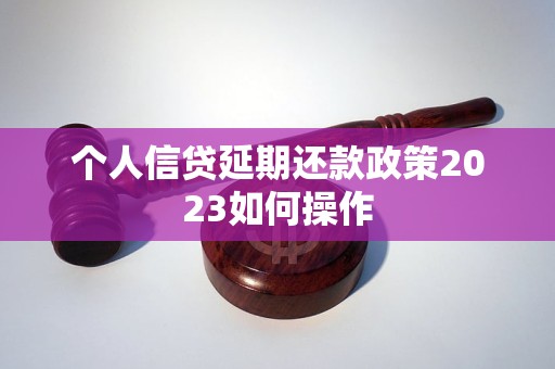 个人信贷延期还款政策2023如何操作