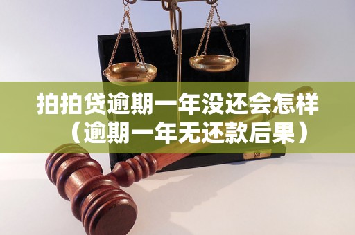 拍拍贷逾期一年没还会怎样（逾期一年无还款后果）