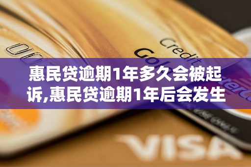 惠民贷逾期1年多久会被起诉,惠民贷逾期1年后会发生什么